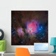 Messier 42 Orion Nebula Wall Decal
