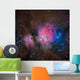 Messier 42 Orion Nebula Wall Decal