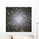 Messier 53 Globular Cluster Wall Decal