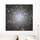 Messier 53 Globular Cluster Wall Decal