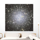 Messier 53 Globular Cluster Wall Decal