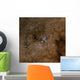 Messier 7 Ptolemy Cluster Wall Decal