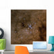 Messier 7 Ptolemy Cluster Wall Decal