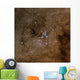 Messier 7 Ptolemy Cluster Wall Decal