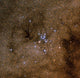 Messier 7 Ptolemy Cluster Wall Decal