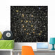 Ngc 6362 Globular Cluster Wall Decal