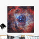 Rosette Nebula Light Wall Decal