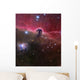 Horsehead Nebula Barnard 33 Wall Decal
