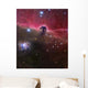 Horsehead Nebula Barnard 33 Wall Decal
