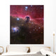 Horsehead Nebula Barnard 33 Wall Decal