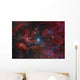 Gamma Cygni Star and Wall Decal