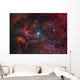 Gamma Cygni Star and Wall Decal