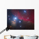 Horsehead Nebula and Flame Wall Decal