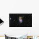 Whirlpool Galaxy and Its Wall Decal