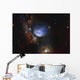 Messier 78 Reflection Nebula Wall Decal