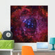 Rosette Nebula Dark Wall Decal