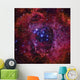 Rosette Nebula Dark Wall Decal