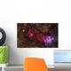 Star forming Region Ngc 6559 Wall Decal