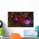 Star forming Region Ngc 6559 Wall Decal