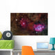 Star forming Region Ngc 6559 Wall Decal