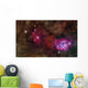 Star forming Region Ngc 6559 Wall Decal