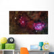 Star forming Region Ngc 6559 Wall Decal
