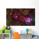 Star forming Region Ngc 6559 Wall Decal