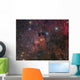Cave Nebula and Surroundings Wall Decal
