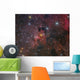 Cave Nebula and Surroundings Wall Decal