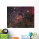 Cave Nebula and Surroundings Wall Decal