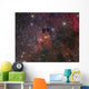 Cave Nebula and Surroundings Wall Decal