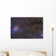 Cocoon Nebula Wall Decal
