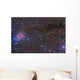 Cocoon Nebula Wall Decal