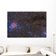 Cocoon Nebula Wall Decal