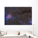 Cocoon Nebula Wall Decal