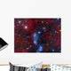 Ngc 6914 Reflection Nebula Wall Decal