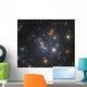 Ngc 884 Open Cluster Wall Decal