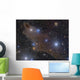 Dark Shark Nebula Cepheus Wall Decal