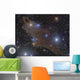 Dark Shark Nebula Cepheus Wall Decal
