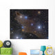 Dark Shark Nebula Cepheus Wall Decal