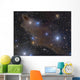 Dark Shark Nebula Cepheus Wall Decal