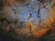 Ic 1396 Elephant Trunk Wall Decal