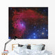 Flaming Star Nebula Constellation Wall Decal