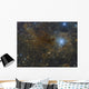 Iris Nebula Constellation Cepheus Wall Decal