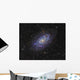 Triangulum Galaxy Distant Wall Decal