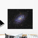 Triangulum Galaxy Distant Wall Decal
