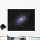 Triangulum Galaxy Distant Wall Decal