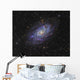 Triangulum Galaxy Distant Wall Decal