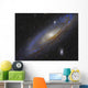 Messier 31 Andromeda Galaxy Wall Decal