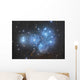 Pleiades Open Star Cluster Wall Decal